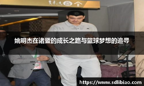 金彩汇首页