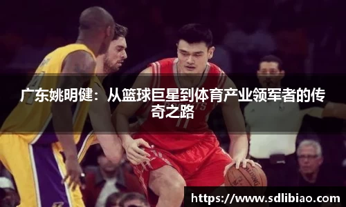 金彩汇注册
