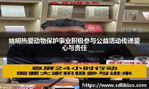金彩汇