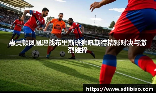 惠灵顿凤凰迎战布里斯班狮吼期待精彩对决与激烈碰撞