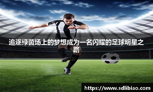 OD体育官方欧洲杯平台