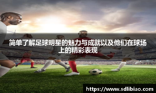 简单了解足球明星的魅力与成就以及他们在球场上的精彩表现